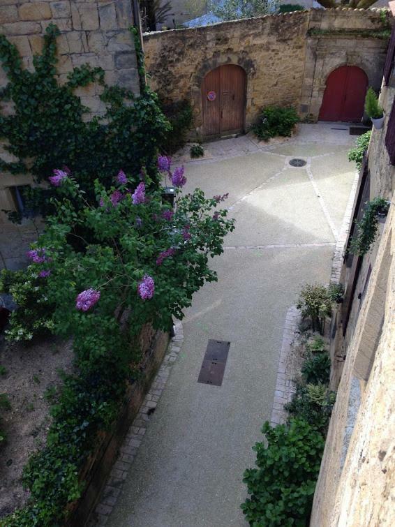 דירות Les Toits De Sarlat מראה חיצוני תמונה